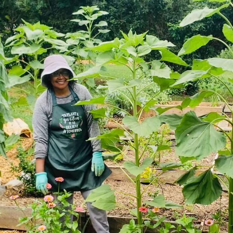 Making The Garden for The Beginners!